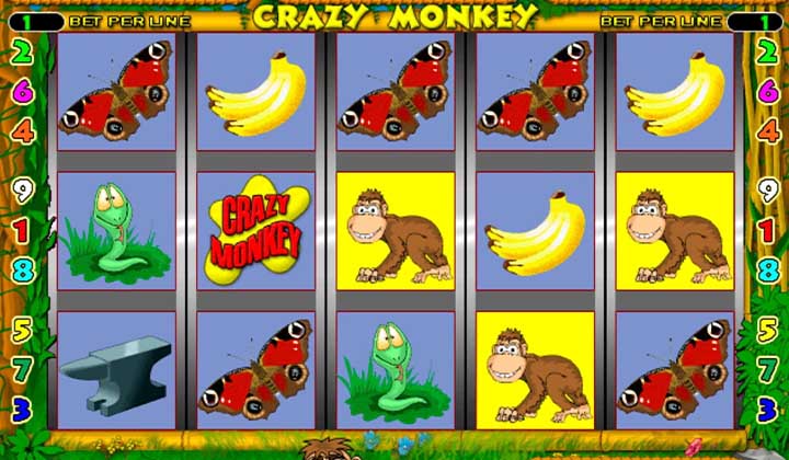 Crazy Monkey